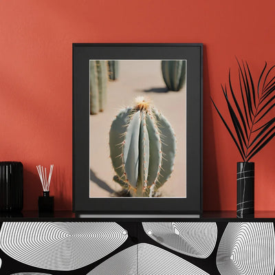 Cactus wearing light