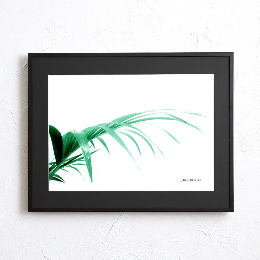 柔らかな雰囲気のボタニカルアート　植物画　ポスター　検）モモナチュラル ボタニカルアート カラー 植物画 絵画 Zinnia 通販 12466584