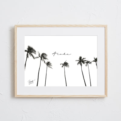 Hawaii palm tree