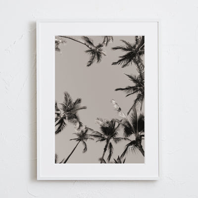 Hawaii palm tree Ⅲ