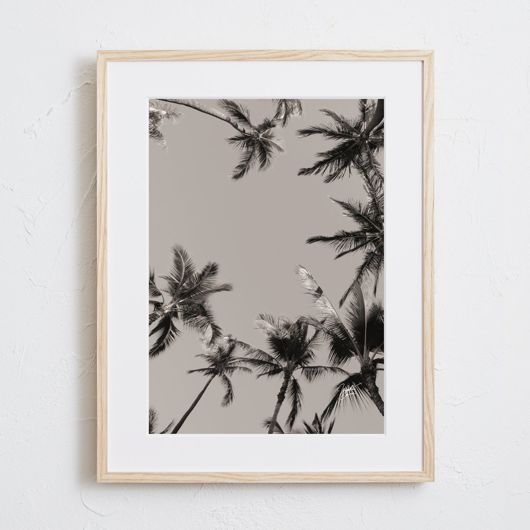 リゾート感あふれるヤシの木アートポスター『Hawaii palm tree Ⅲ