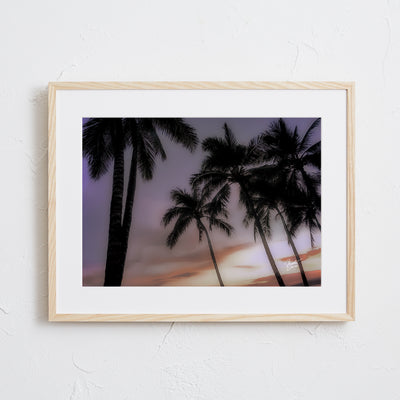 Hawaii Perm tree - sunset Ⅰ