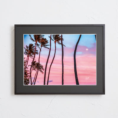Hawaii Perm tree - sunset Ⅱ