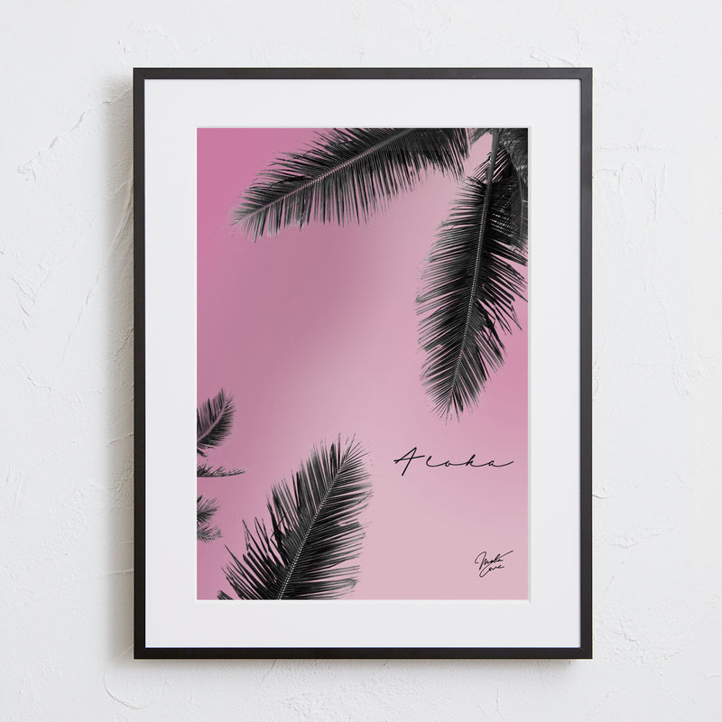 Hawaii Parmtree pink